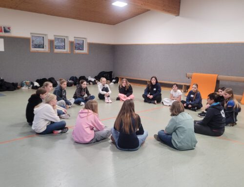 Selbstverteidigungskurs am Heinrich Sigmund Gymnasium